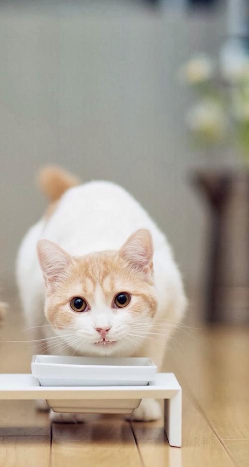 Å©´åÈ˾ӻ·¾³ÕûÖÎÈýÄêÐж¯ÈÎÎñ»ù±¾Íê³É